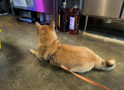 神戸のおすすめ韓国料理店